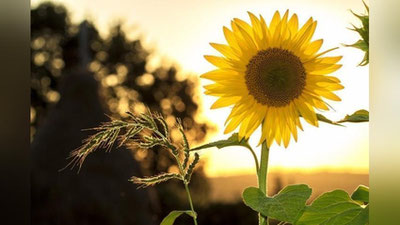 'Bugun O`zbekistonda havo o`zgaruvchan bo`ladi'ning rasmi