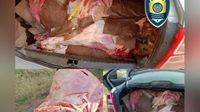 'Qashqadaryoda iste`molga yaroqsiz 225 kg go`sht to`xtatib qolindi'ning rasmi