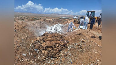 Изрображение 'В результате селя в Шерабаде погибли 360 овец'