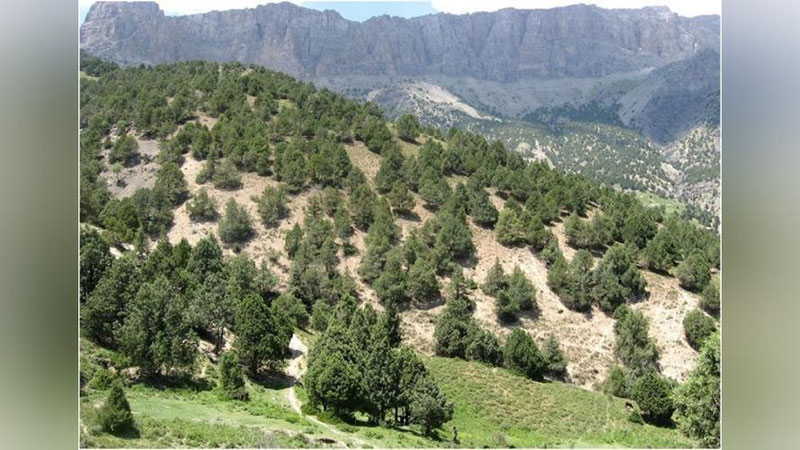 'LOYIHA SMETASI 44,2 MLN. AQSh DOLLARINI TAShKIL ETGAN “BOYSUN-FARM”DA IShLAR QIZG`IN'ning rasmi