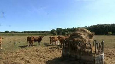 'Fransiyada yana jazirama issiq va qurg`oqchilik kuzatilmoqda (Video)'ning rasmi