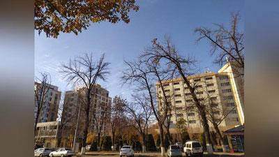 Изрображение 'В Ташкенте +17: погода на 23 декабря'