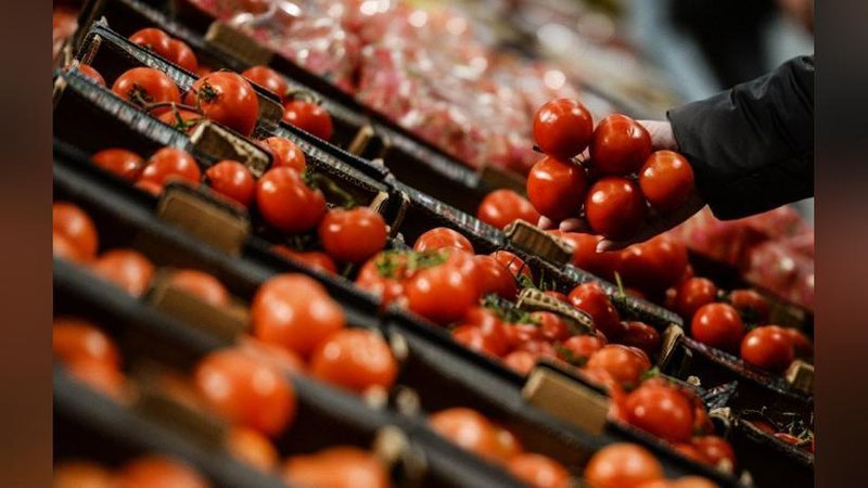 'O`zbekistonning meva-sabzavot eksporti hajmi taqdim etildi'ning rasmi