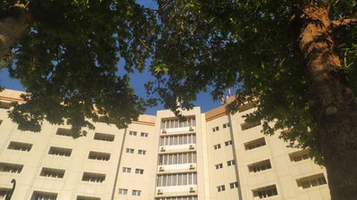 Изрображение 'Сметная стоимость строящихся объектов будет формироваться на основе данных электронной платформы'