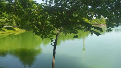 Изрображение 'В Ташкенте без осадков: погода на 6 июня'