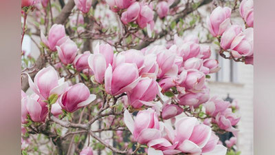 '6 mart kuni qanday ob-havo kuzatiladi?'ning rasmi