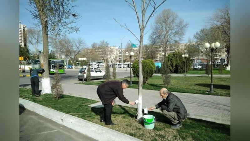 '11 mart kuni o`tkazilishi belgilangan umumxalq xayriya hashari 18 mart sanasiga ko`chirildi'ning rasmi