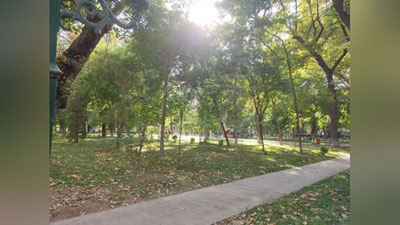 Изрображение 'В Ташкенте без осадков, +25: погода на 22 сентября'