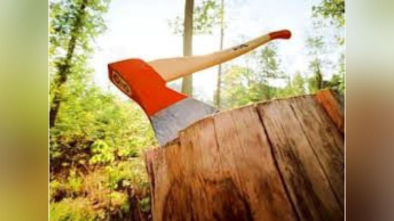 'Daraxt kesish bo`yicha jahon chempionati o`tkazildi'ning rasmi