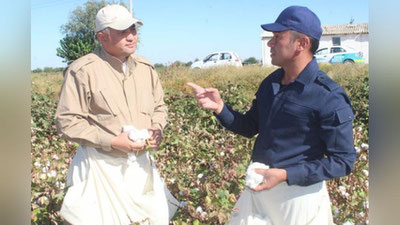 'Hokim qancha paxta tera oladi?'ning rasmi