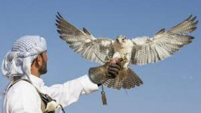 'BAA va Qatarning to`rt shayxiga qo`riqxonalarda ov qilishga ruxsat berildi'ning rasmi