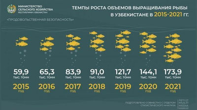 Изрображение 'Производство рыбы в Узбекистане утроилось за последние пять лет'