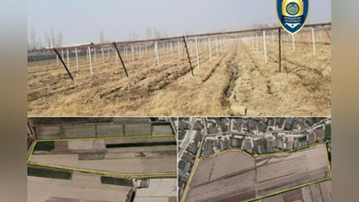 'Farg`onada 219,3 mln so`m subsidiya mablag`larini o`zlashtirgan fermer xo`jaliklari aniqlandi'ning rasmi