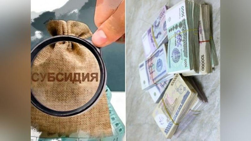 'Тадбиркорликни бошлаётган ишсиз фуқароларга 196,7 млрд сўм субсидия ажратилган'ning rasmi