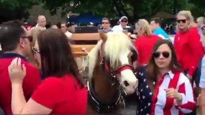 '​АҚШдаги парад пайтида асов пони уч кишини босиб кетди (Видео)'ning rasmi