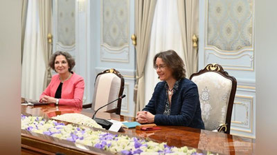 Изрображение 'Президент Узбекистана принял советника Президента Франции'