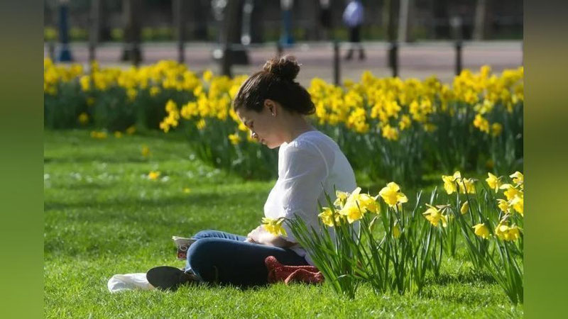 'Bugun O`zbekistonda havo +-35° gacha isiydi'ning rasmi