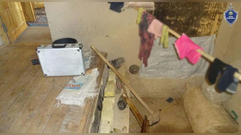 Изрображение 'Кетмень как аргумент: в Каракалпакстане мужчина по-своему "разрулил" конфликт'