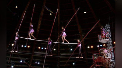 'SIRKDAGI  FAVQULODDA VAZIYaT:  HAVO GIMNASTI  ShERIGINI UShLAB  QOLOLMADI  (VIDEO)  'ning rasmi