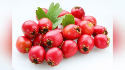 'DO`LANANING MING BIR FOYDASI'ning rasmi