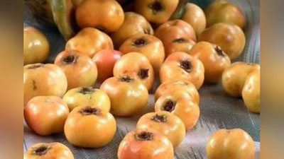 '​Do`lananing 7 foydasi'ning rasmi