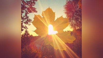 '7 NOYaBR KUNI MAMLAKATIMIZDA KUTILAYoTGAN OB-HAVO MA`LUMOTI'ning rasmi