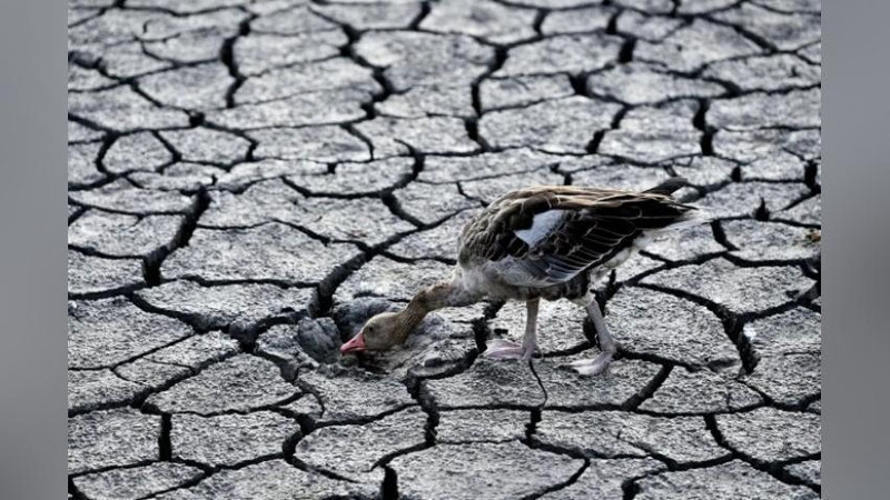 'Sayyorada muddatidan avval haroratning yana bir rekordi o`rnatildi'ning rasmi