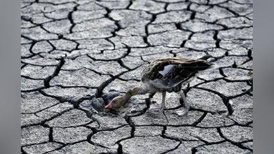 'Sayyorada muddatidan avval haroratning yana bir rekordi o`rnatildi'ning rasmi