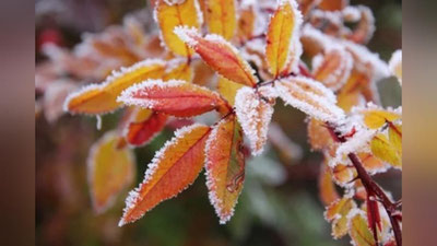 'O`zbekistonda havo keskin sovib ketishi kutilmoqda 'ning rasmi