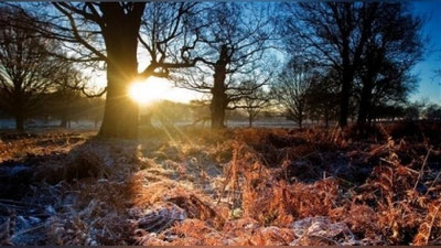 Изрображение 'КАКАЯ ПОГОДА ЖДЕТ НАС 14 ДЕКАБРЯ?'