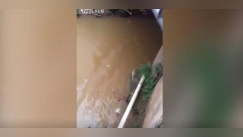 Изрображение 'СМЕРТЕЛЬНОЕ ВИДЕО ИЗ БРАЗИЛИИ: ПАРЕНЬ ПОГИБ, ПРЫГНУВ С МОСТА (18+)'