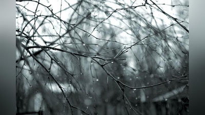 Изрображение 'ПОГОДА 2 ЯНВАРЯ БУДЕТ ПАСМУРНОЙ'