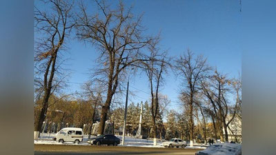 Изрображение 'В Ташкенте днем до минус 7: погода на 13 декабря'