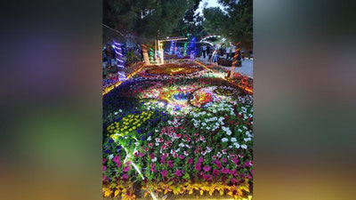 Изрображение 'Фото, видео: Яркий праздник цветов в Намангане'