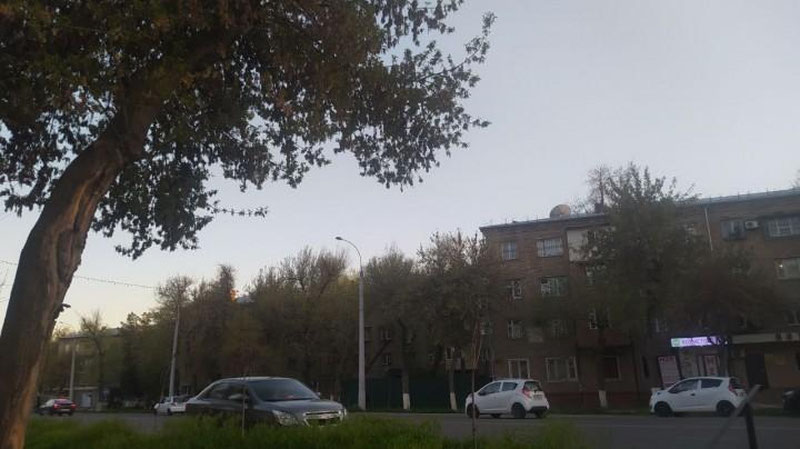 Изрображение 'В Ташкенте до +12: погода на 30 марта'