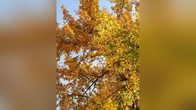 Изрображение 'В Узбекистане до +30: погода на 30 октября'