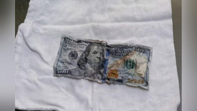 Изрображение 'В Навои водитель съел 100 долларов, которые он предлагал в качестве взятки'