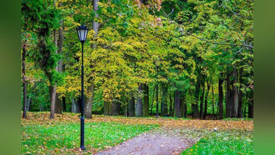 '"O`zgidromet" dam olish kunlari kutilayotgan ob-havo ma`lumotini e`lon qildi'ning rasmi