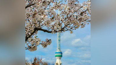 '​11 aprel kuni O`zbekistonda qanday ob-havo kuzatiladi?'ning rasmi