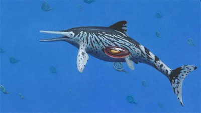 'OLIMLAR ULKAN “DENGIZ AJDARI”NI TOPIShDI'ning rasmi