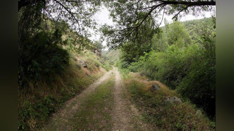 Изрображение 'КАКАЯ ПОГОДА НАС ОЖИДАЕТ 21 ИЮНЯ?'