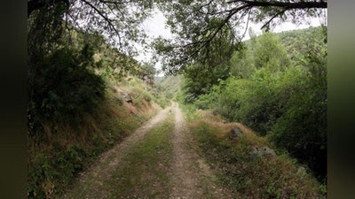 Изрображение 'КАКАЯ ПОГОДА НАС ОЖИДАЕТ 21 ИЮНЯ?'