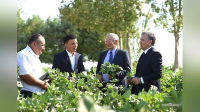 'Shavkat Mirziyoev g`o`za rivojini ko`zdan kechirdi'ning rasmi