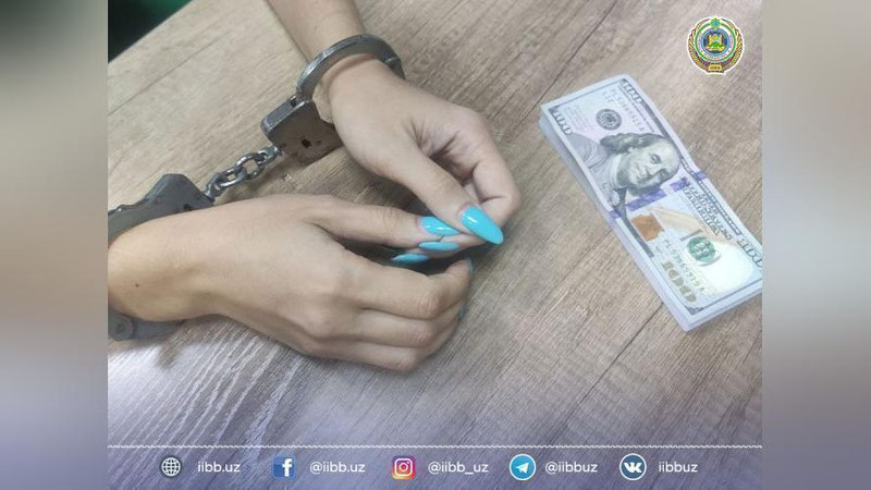 Изрображение 'Няня обворовала свою работодательницу на Юнусабаде'