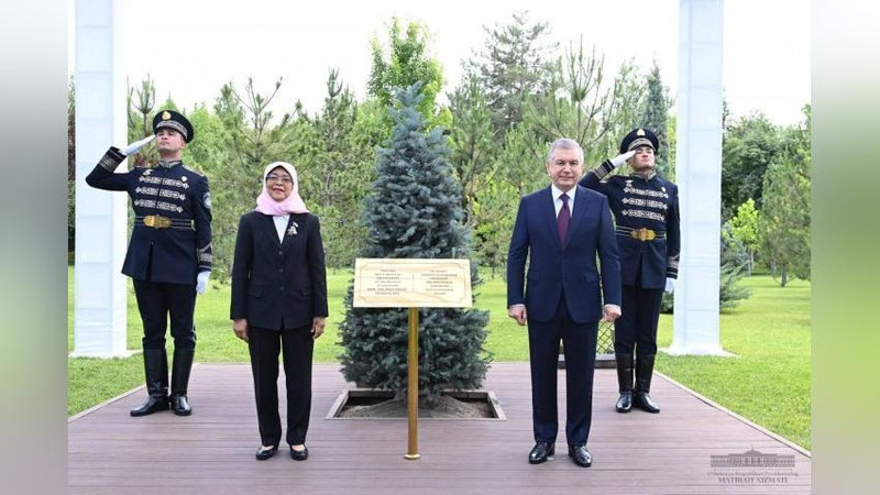 Изрображение 'Шавкат Мирзиёев и Халима Якуб высадили ель на Аллее почетных гостей'