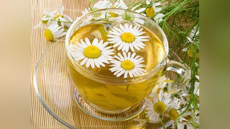 'MOYChEChAK SOChLARGA JILO BAG`IShLAYDI!'ning rasmi