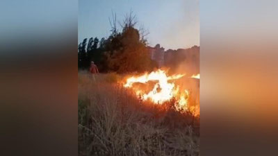 'Toshkentda ochiq maydonda yong`in sodir bo`ldi (video)'ning rasmi