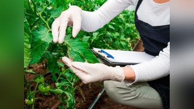 'Карантин остидаги маҳсулотларни олиб кириш ва олиб чиқиш қоидаларини бузганлик учун жавобгарлик белгиланди'ning rasmi