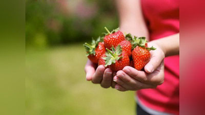 '​Қулупнайнинг 9 фойдаси'ning rasmi