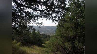 Изрображение 'В КАРАКАЛПАКСТАНЕ СОЗДАДУТ ПЯТЬ ЗАПОВЕДНИКОВ'